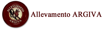 Di Argiva
