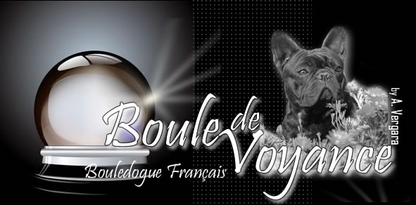 Boule de voyance