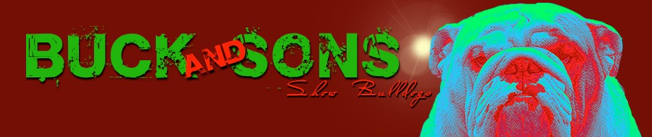 Buck and sons