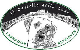 Del castello della luna