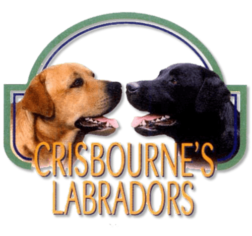 Crisbourne’s