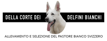 Della corte dei delfini bianchi