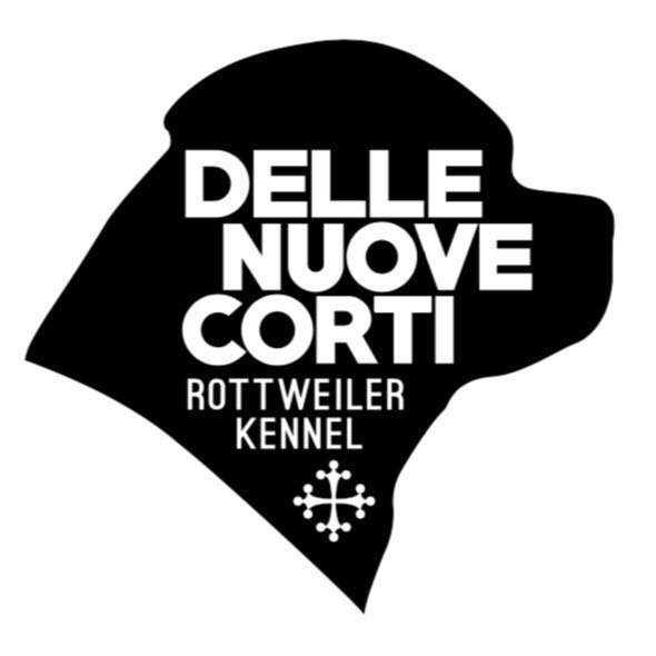 DELLE NUOVE CORTI