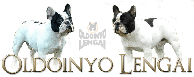 Dell’oldoinyo lengai