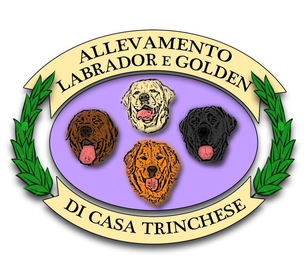 Di casa Trinchese