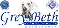 Di Greys Beth