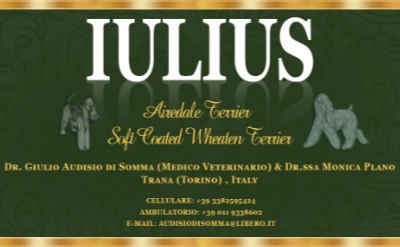 Iulius