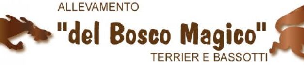 Del bosco magico