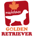 logo-mapletree
