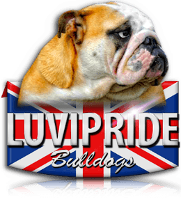 Luvipride