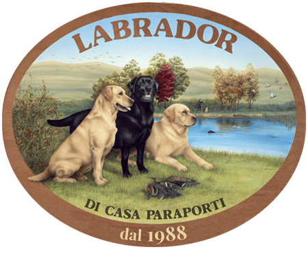 Di casa Paraporti