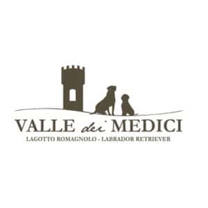 VALLE DEI MEDICI