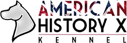 American history x