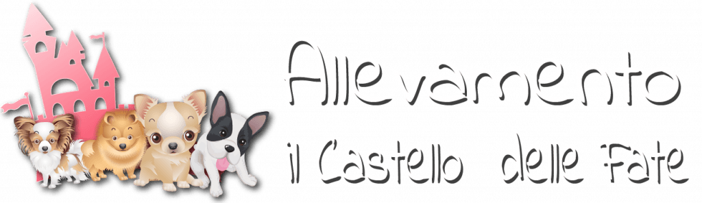 Del castello delle fate