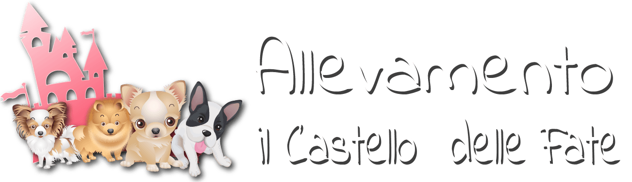 Del castello delle fate