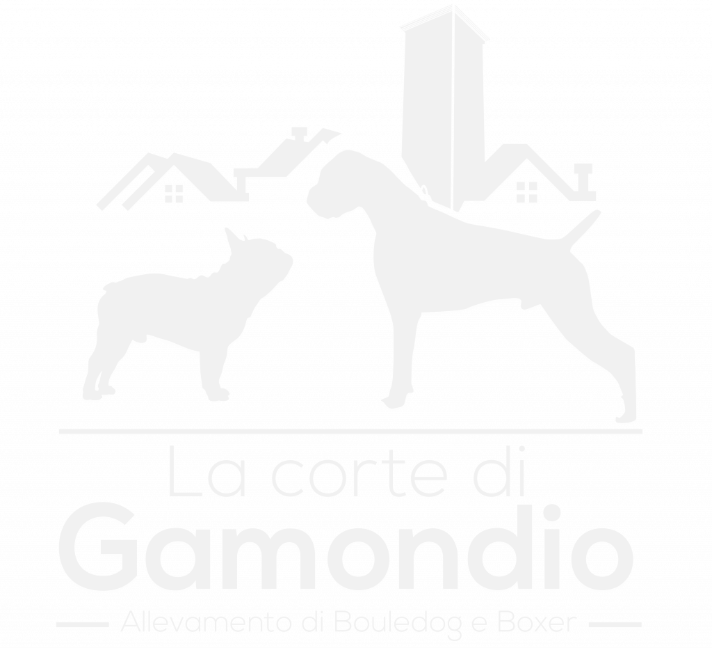 Della corte di Gamondio