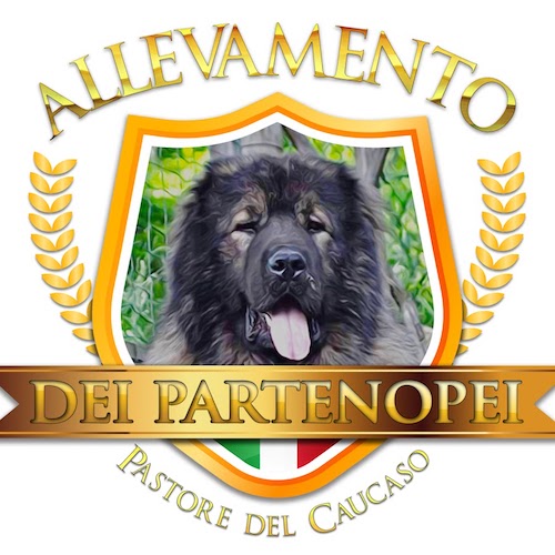 Dei Partenopei Kennel