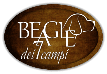 Dei sette campi