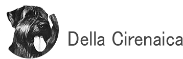 Della cirenaica