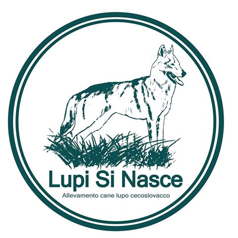 Lupi si nasce