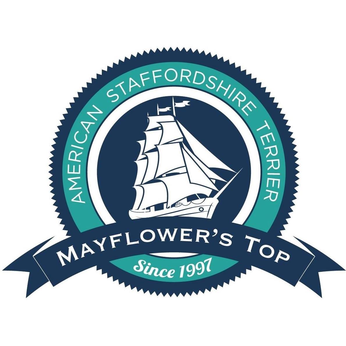 Mayflower’s top