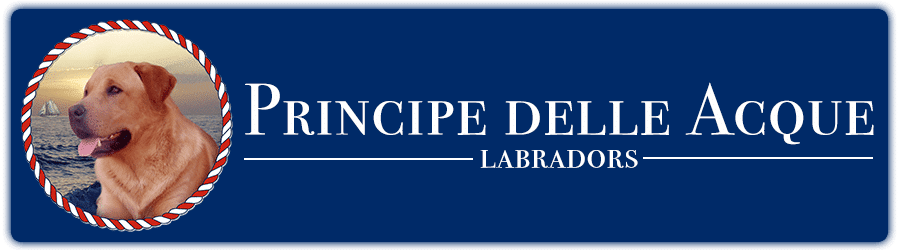 Del principe delle acque