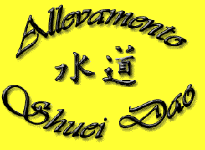 Shuei dao