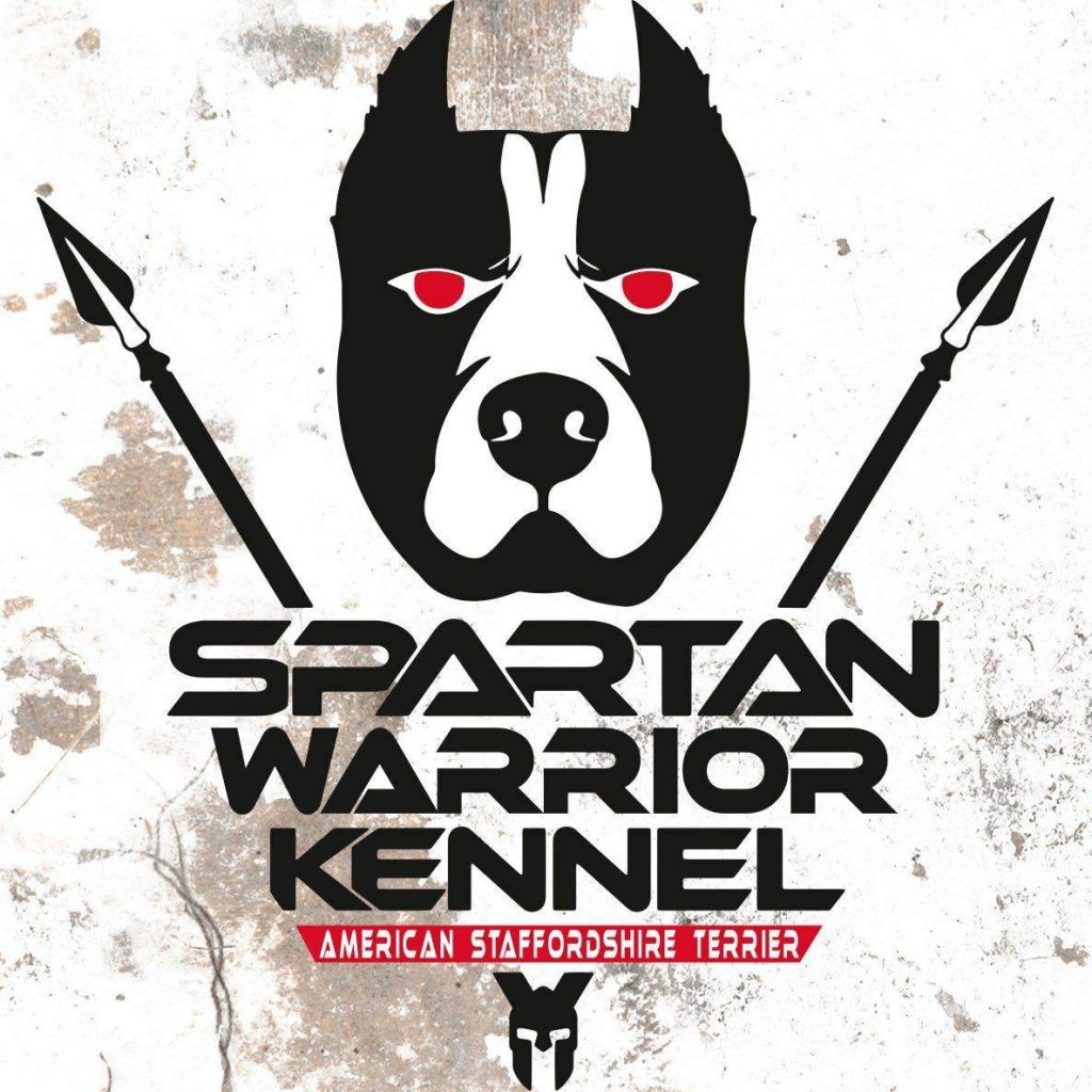 Spartan warrior