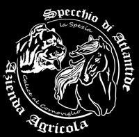 Dello specchio di atlantide