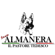 Team Almanera