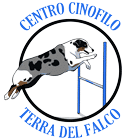 Della terra del falco