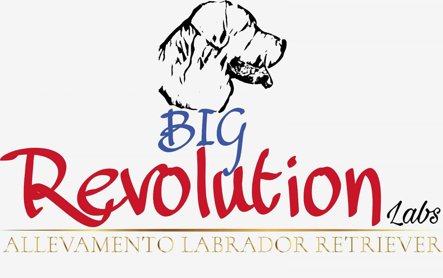 Bigrevolution