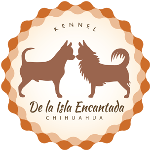 De la isla encantada