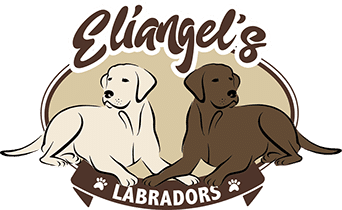 Eliangel’s