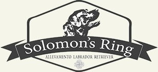 Solomons’ ring