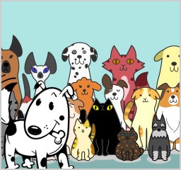 CATANIA – GRUPPO CINOFILO ETNEO