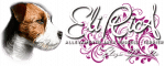 elirica logo