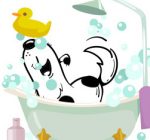 Toelettatura Cani E Gatti Di Linzalata Donato