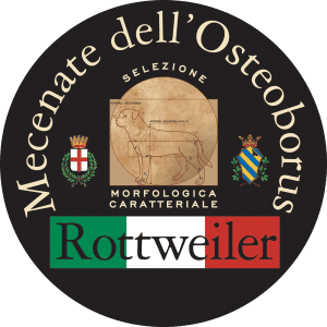 Mecenate dell’Osteoborus