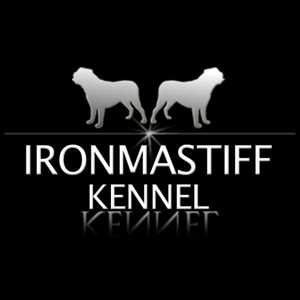 IRONMASTIFF-KENNEL