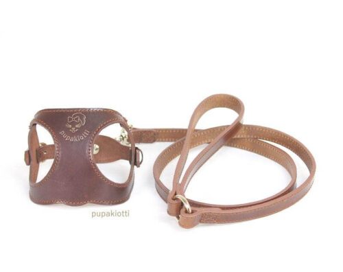 Gold. Parure pettorina e guinzaglio in cuoio