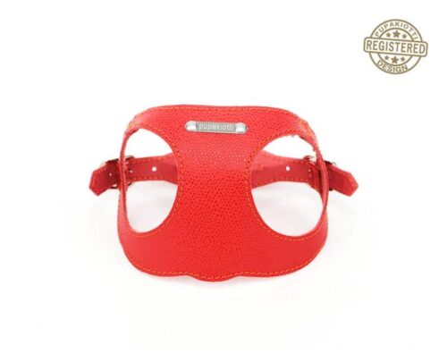 Basic. Pettorina ergonomica e regolabile in pelle per cani