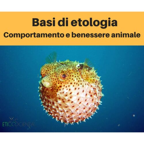 Corso base di etologia - Comportamento e benessere animale