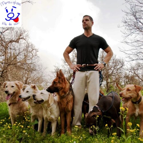 Corso per istruttore cinofilo