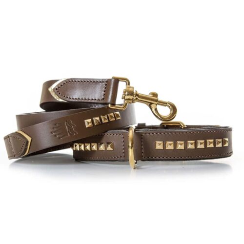 Guinzaglio Tennis con borchie