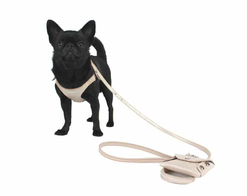 Laminati. Set pettorina e guinzaglio con porta sacchetti in pelle per cane. Pelli lamé e speciali - Image 2