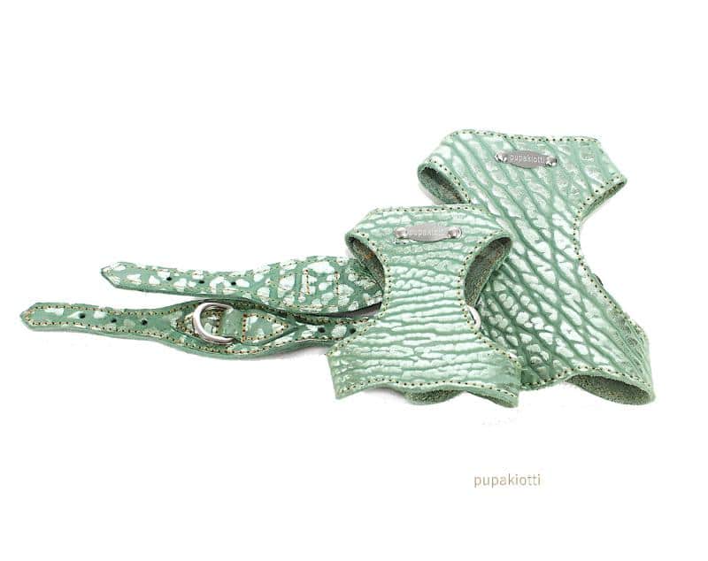 Special. Set pettorina e guinzaglio con porta sacchetti in pelle per cane. Fantasia Lamé - Image 3