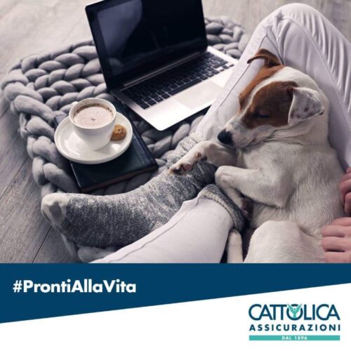 Active Casa&Persona Amici a 4 zampe