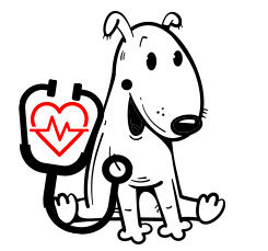 Ambulatorio Veterinario Parco Montà Delle Dottoresse Isatto E Lucchesi